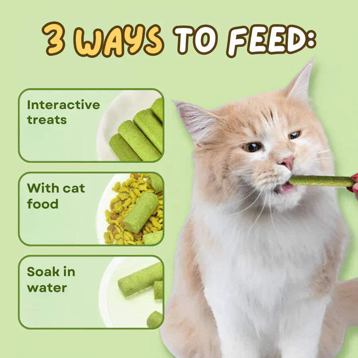 Cat Grass Teething Sticks [Free Today]