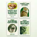Complete Teeth & Gut Health Bundle