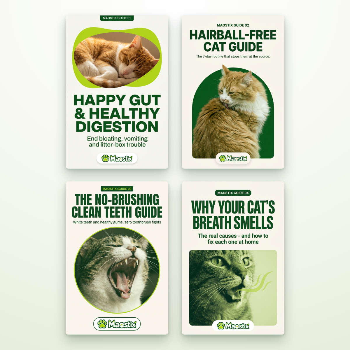 Complete Teeth & Gut Health Bundle
