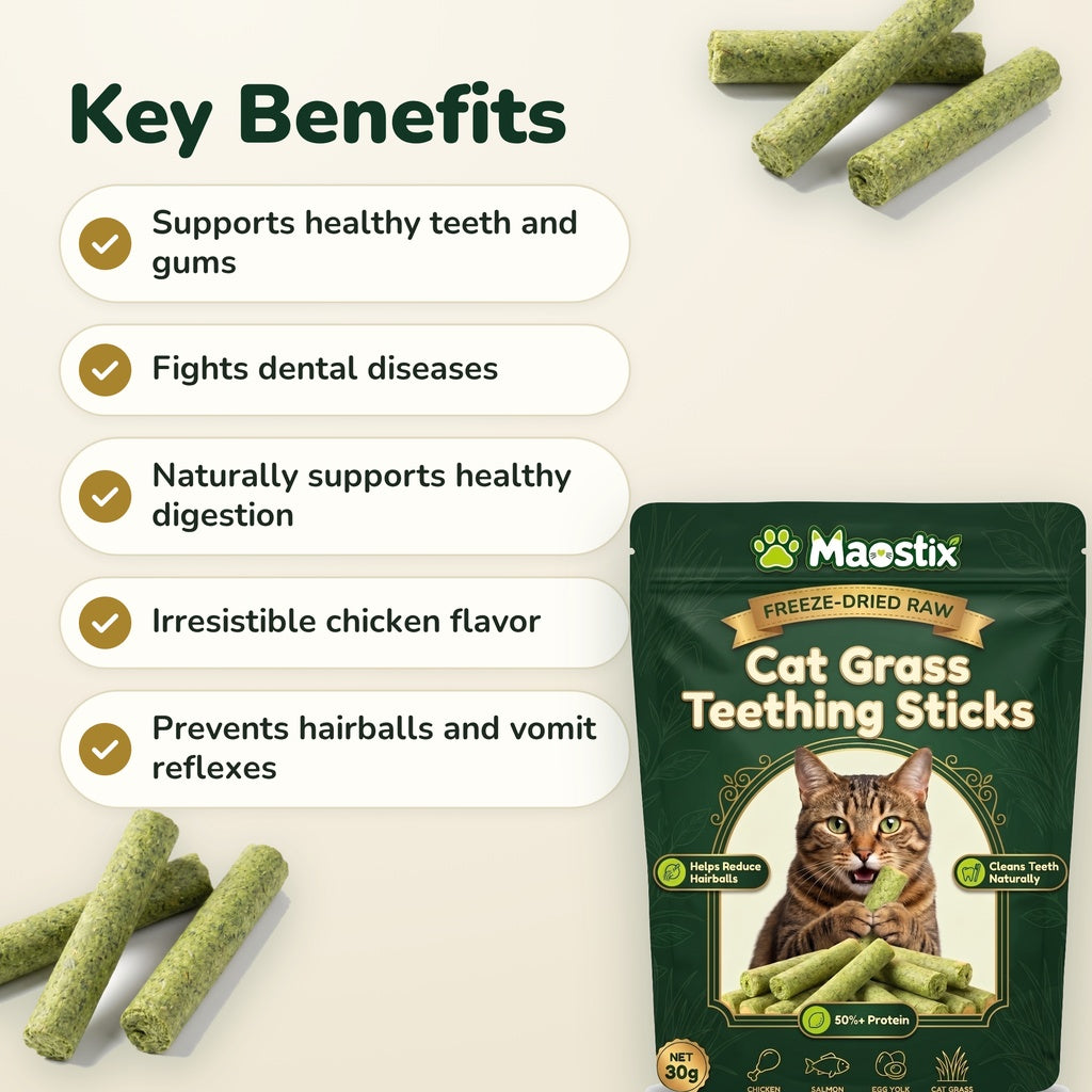 Maostix